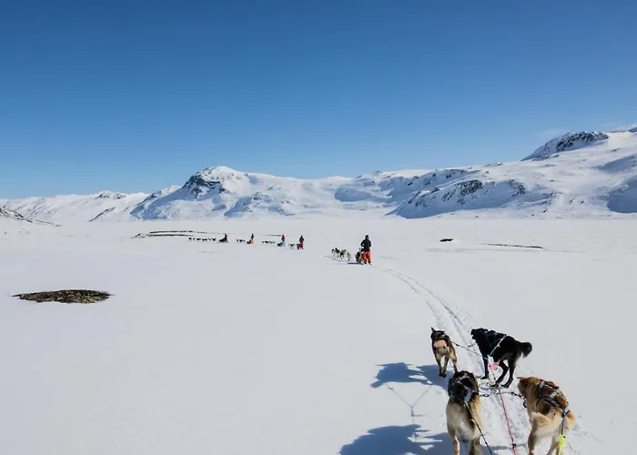 Ideal For Families 6 Bedrooms, Hot Tub And Sauna *